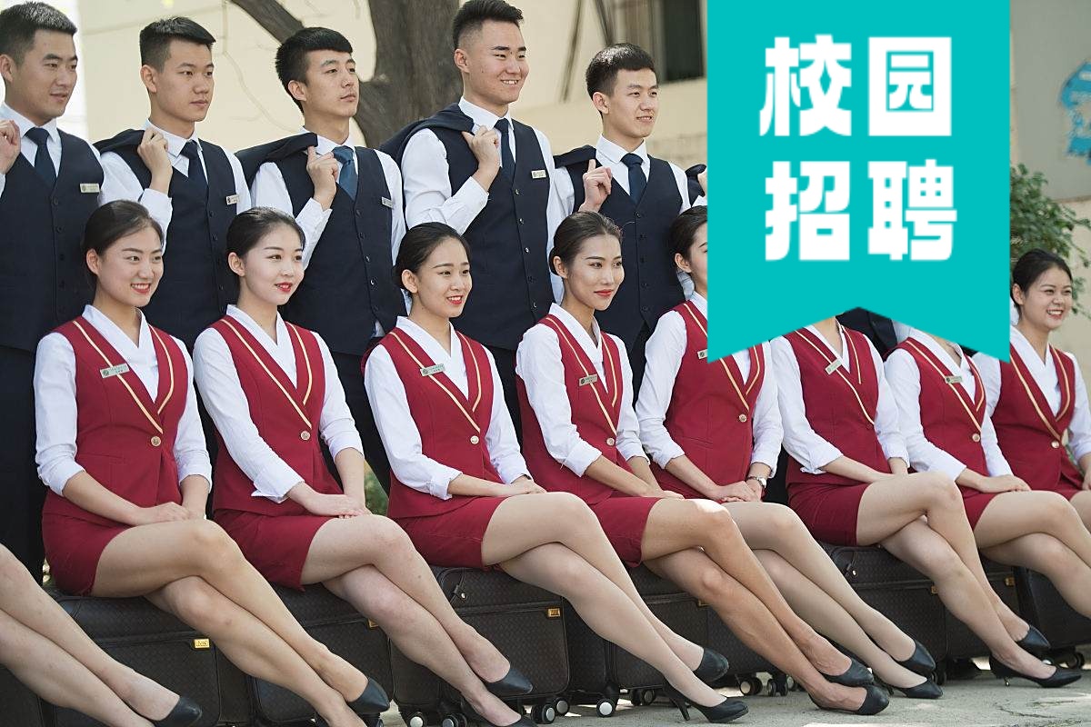 校园招聘